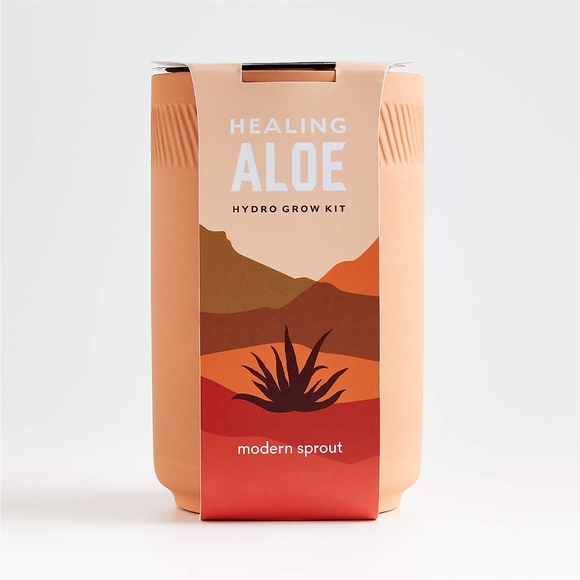 Modern Sprout Other Modern Sprout Terracotta Grow Kit Healing Aloe